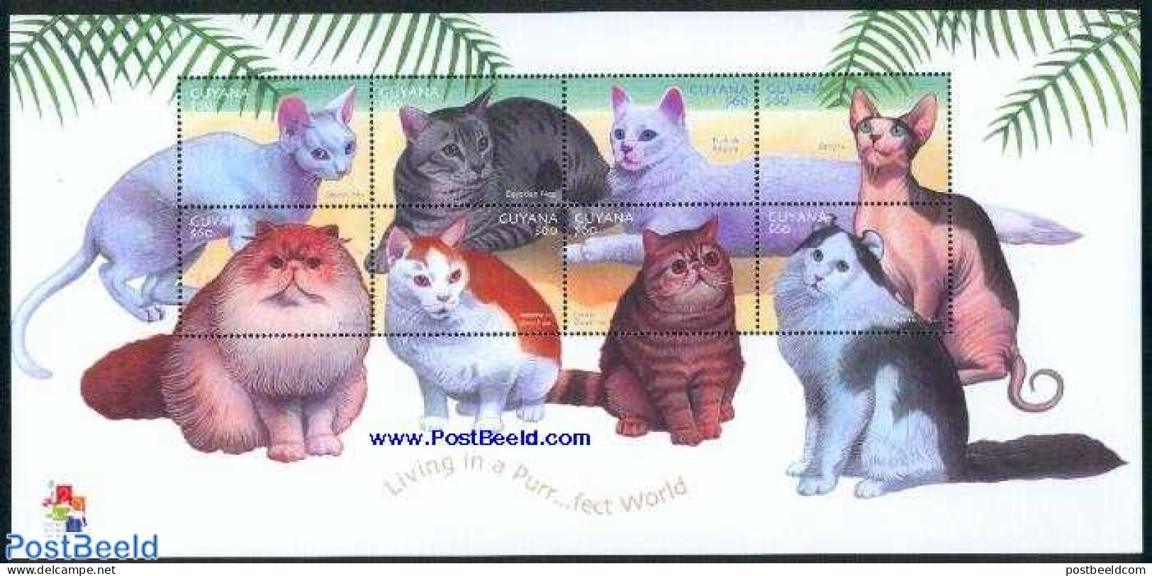 Guyana 2001 Cats 8v M/s, Mint NH, Nature - Cats - Guyana (1966-...)