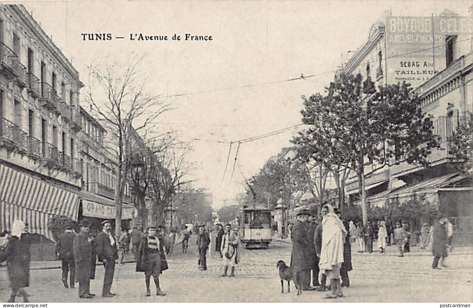 TUNIS - L'avenue De France - Tailleur Sebag Aîné - Ed. Inconnu  - Tunisia