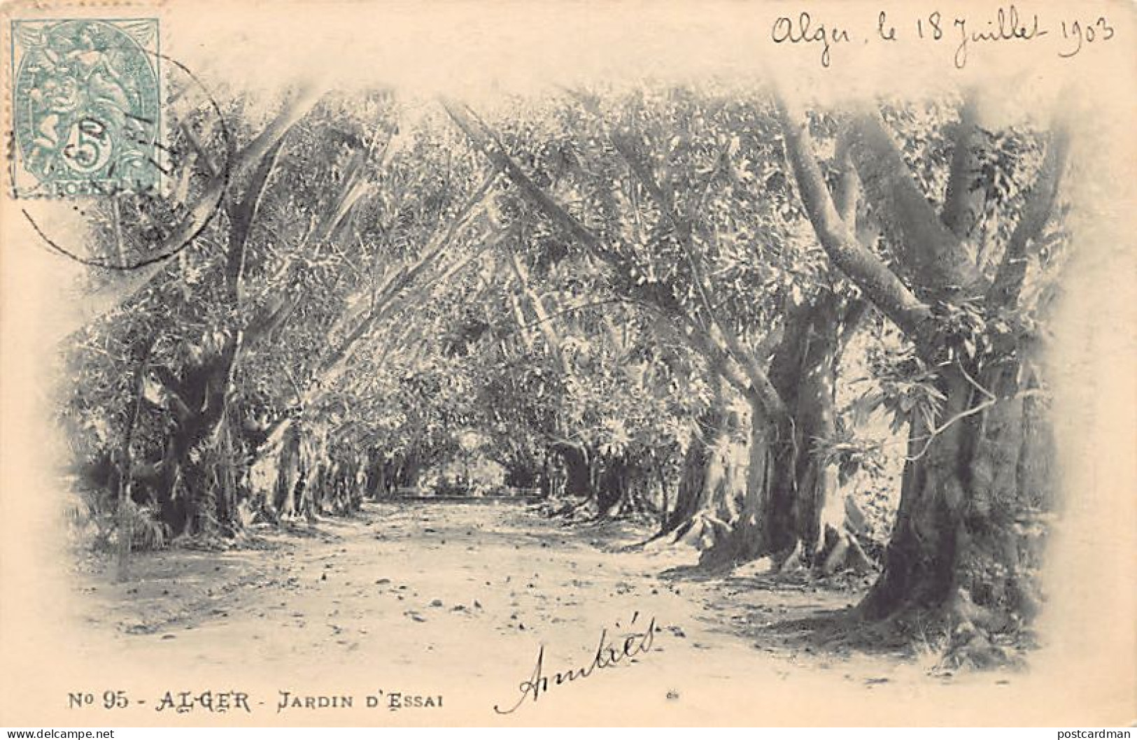 Algérie - ALGER - Jardin D'Essai - Ed. Arnold Vollenweider 95 - Algiers