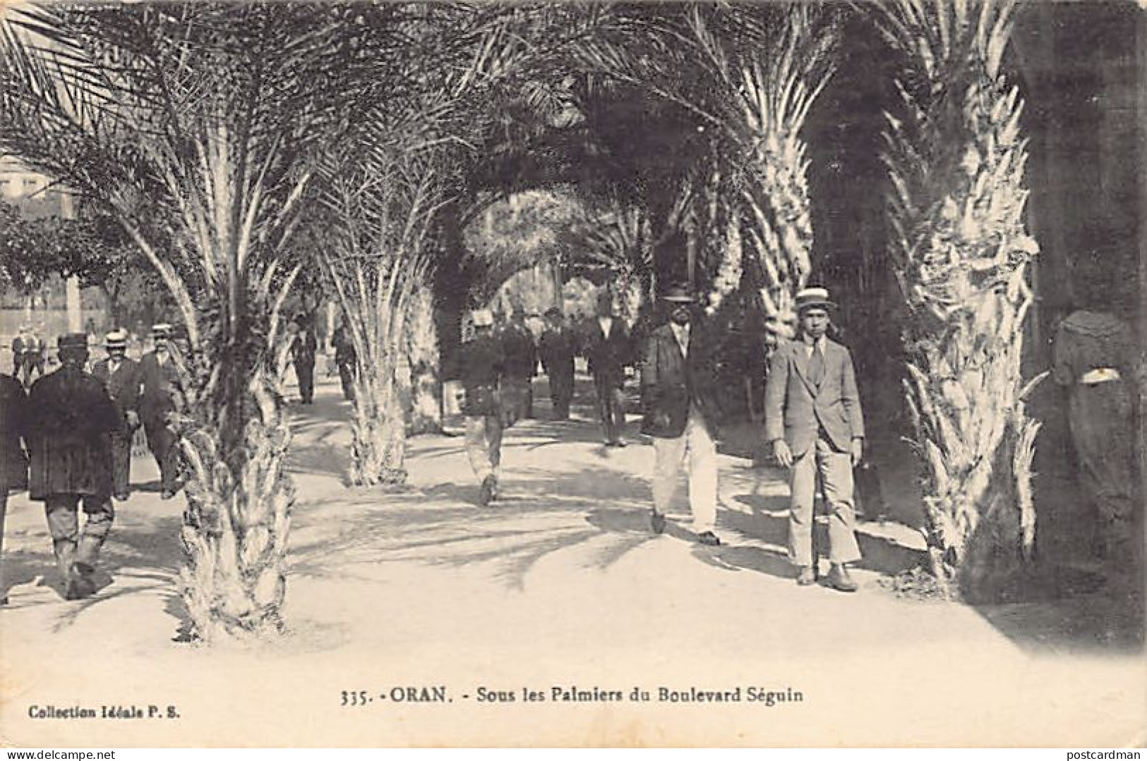 ORAN - Sous Les Palmiers Du Boulevard Séguin  - Oran