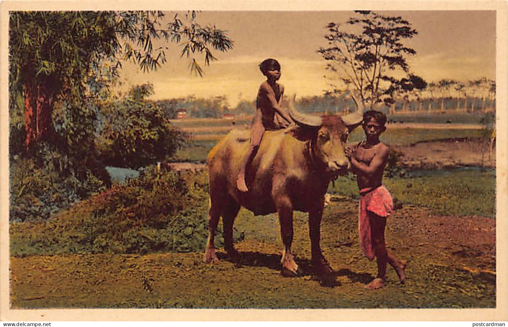 Indonesia - Saïdjah Met Z'n Buffel - Saidjah With His Buffalo - Indonésie