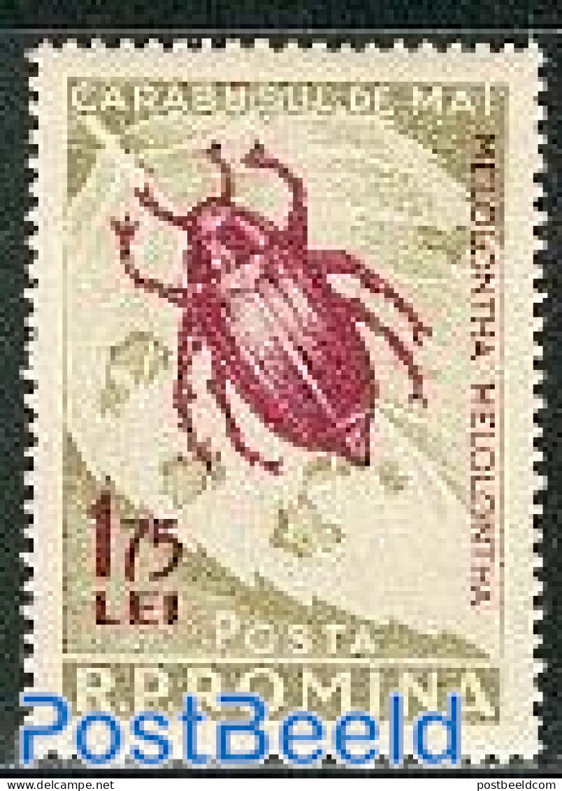 Romania 1956 Insects 1v, Purper, Mint NH, Nature - Insects - Neufs