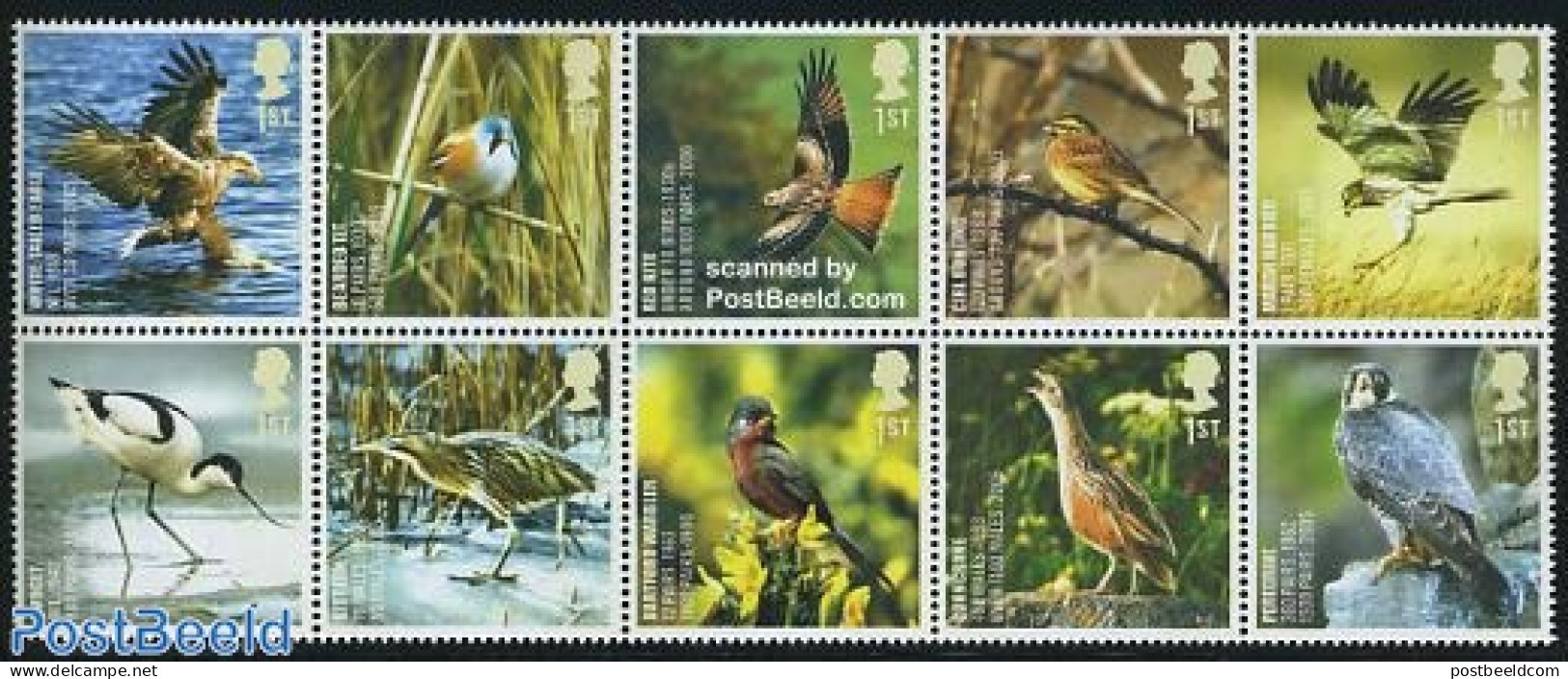Great Britain 2007 Birds 10v [++++], Mint NH, Nature - Animals (others & Mixed) - Birds - Birds Of Prey - Neufs