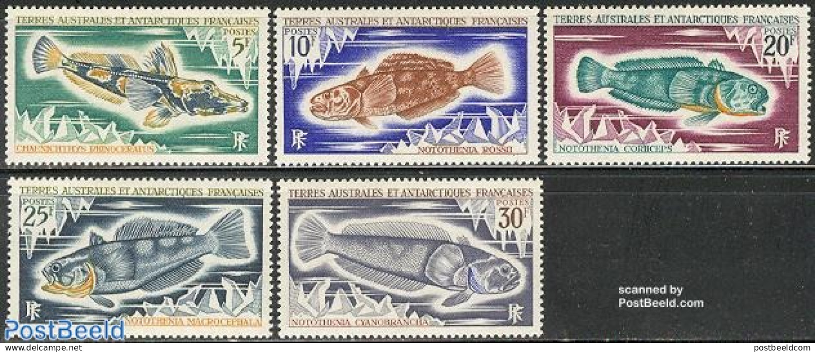 French Antarctic Territory 1971 Fish 5v, Mint NH, Nature - Fish - Unused Stamps