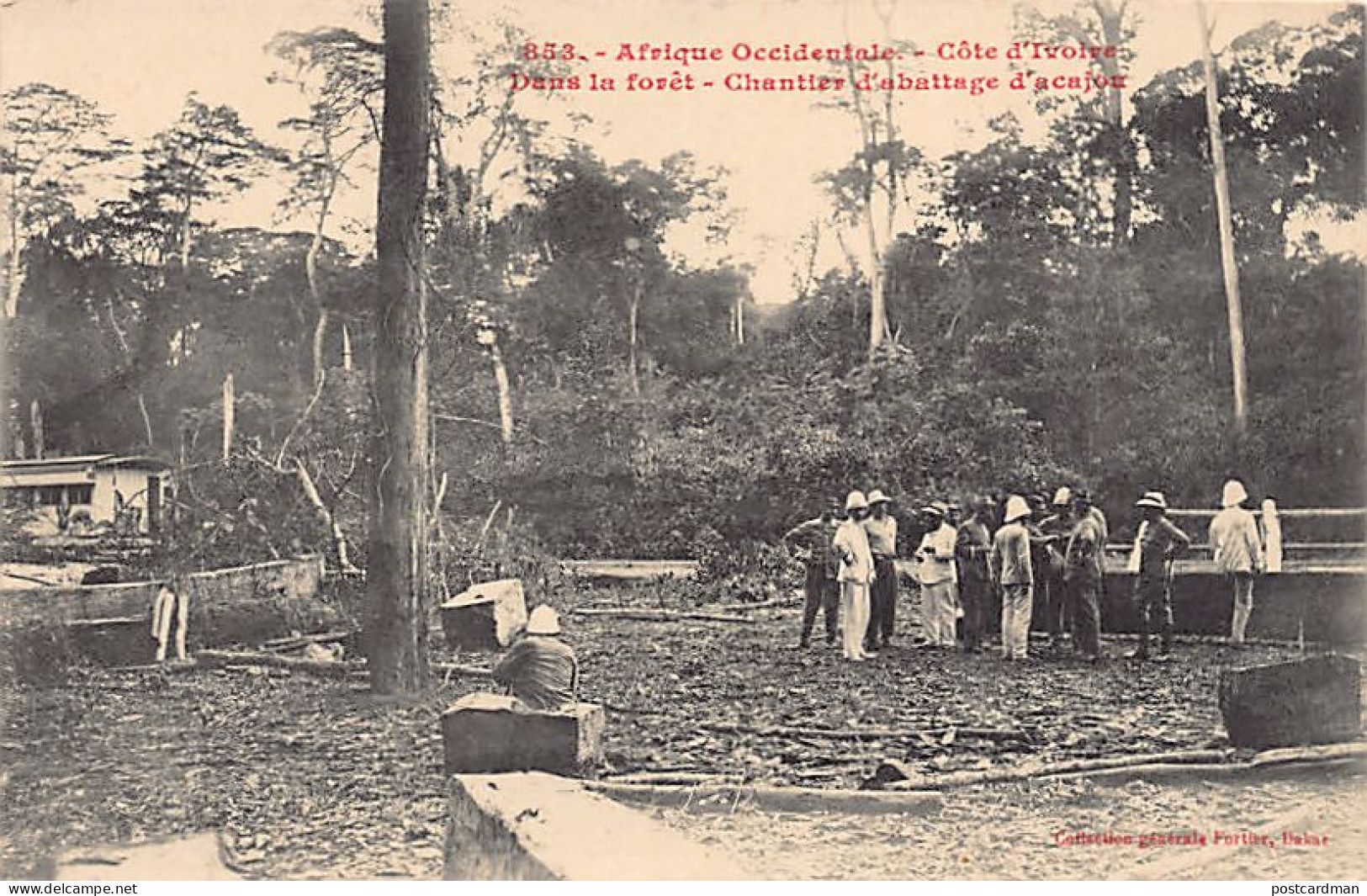 Côte D'Ivoire - Dans La Forêt, Chantier D'abattage D'acajou - Ed. Fortier 853 - Côte-d'Ivoire