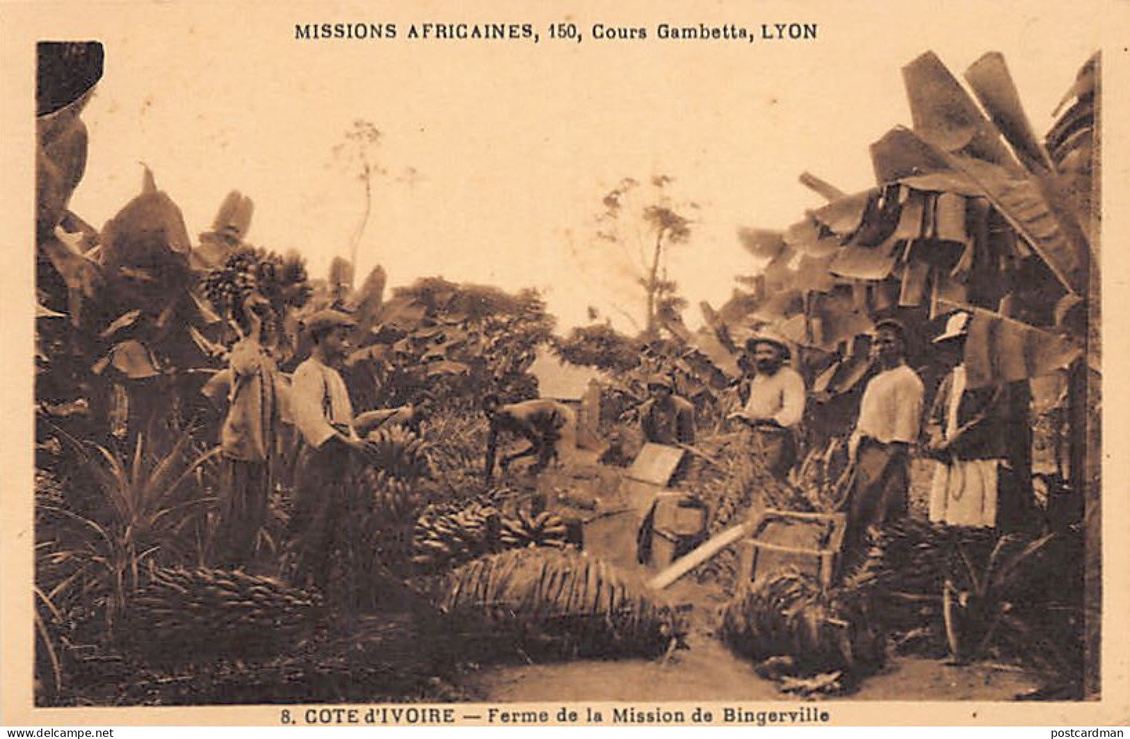 Côte D'Ivoire - Ferme De La Mission De Bingerville - Ed. Missions Africaines 8 - Côte-d'Ivoire