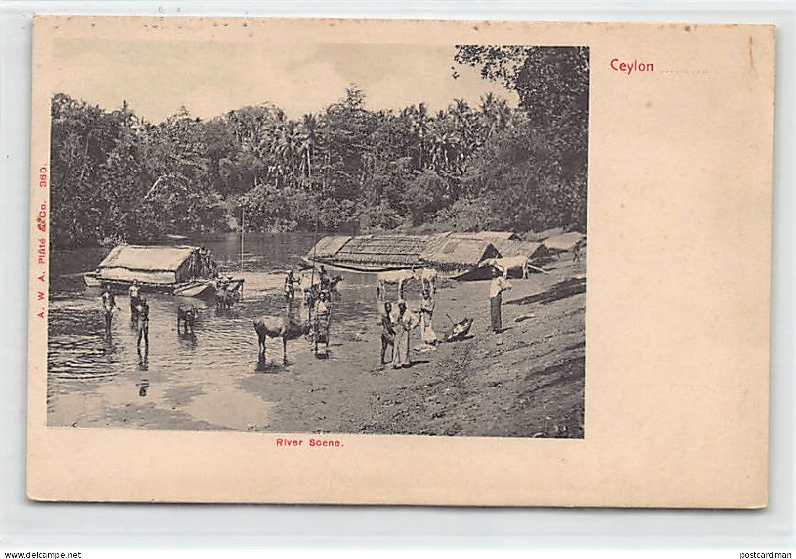 Sri Lanka - River Scene - SEE SCANS FOR CONDITION - Publ. A. W. A. Plâté & Co. 360 - Sri Lanka (Ceylon)