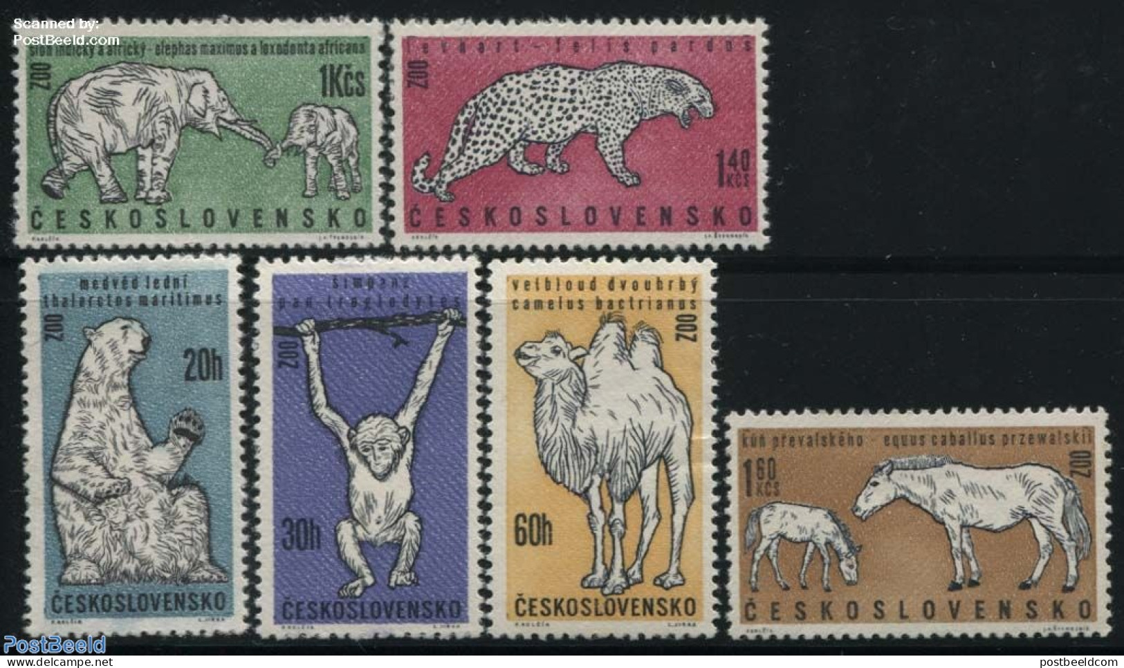 Czechoslovkia 1962 Praha Zoo 6v, Mint NH, Nature - Animals (others & Mixed) - Bears - Camels - Cat Family - Elephants .. - Autres & Non Classés