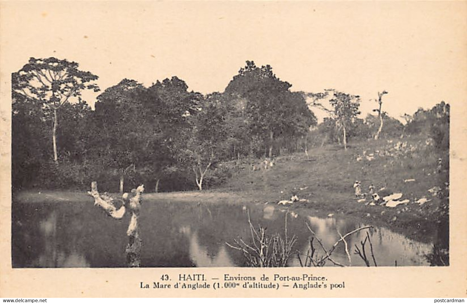 Haiti - Near Port-au-Prince - Anglade's Pool - Ed. Thérèse Montas 43 - Haití