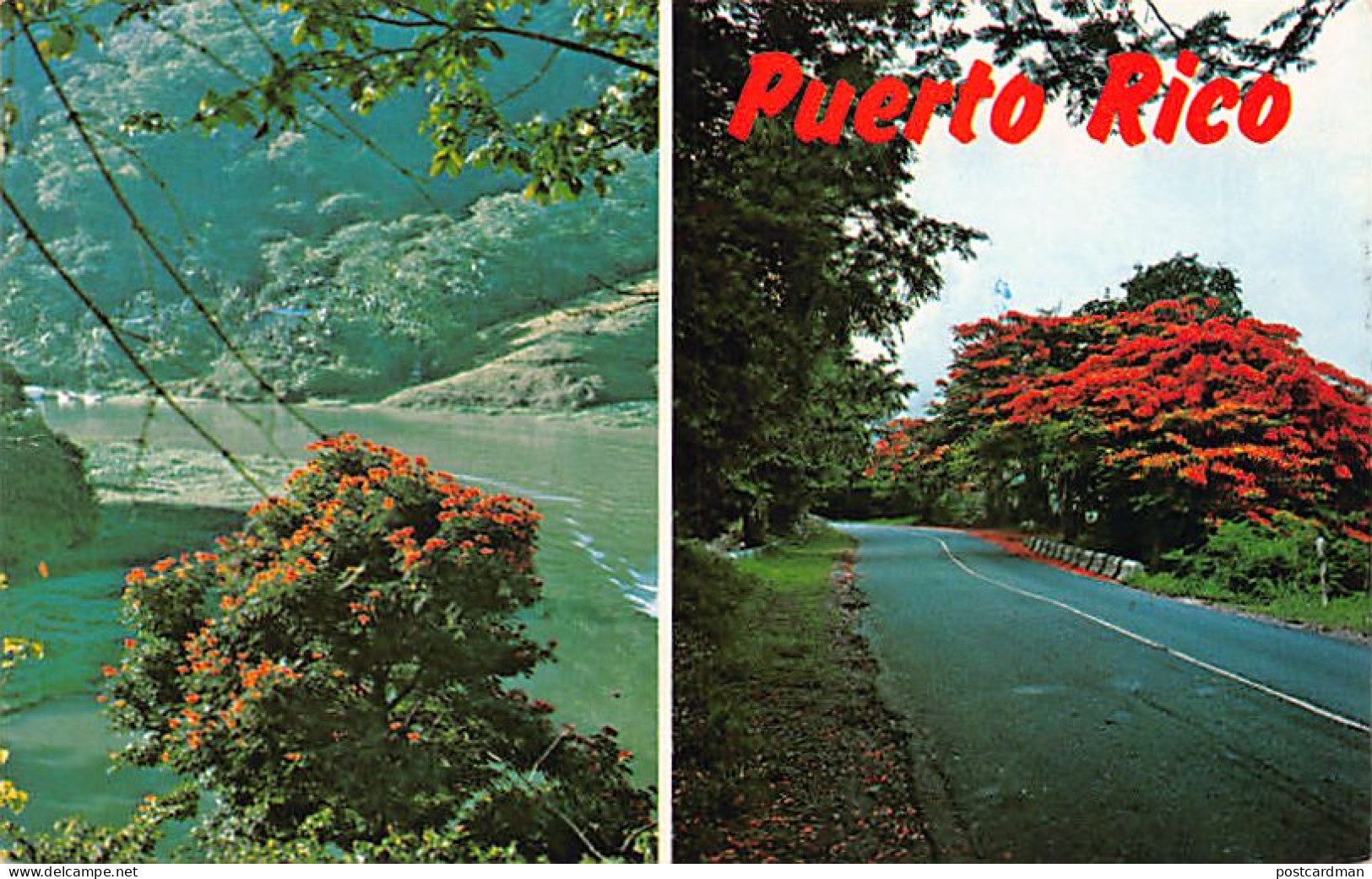 Puerto Rico - Lago Dos Bocas - Ed. Caribe Tourist Promotions  - Puerto Rico