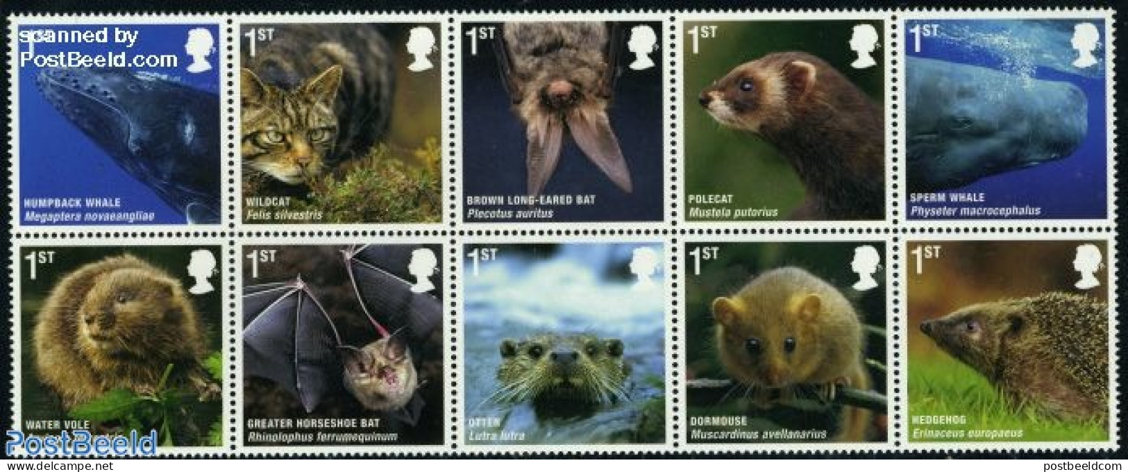 Great Britain 2010 Mammals 10v [++++], Mint NH, Nature - Animals (others & Mixed) - Bats - Cats - Hedgehog - Sea Mammals - Unused Stamps