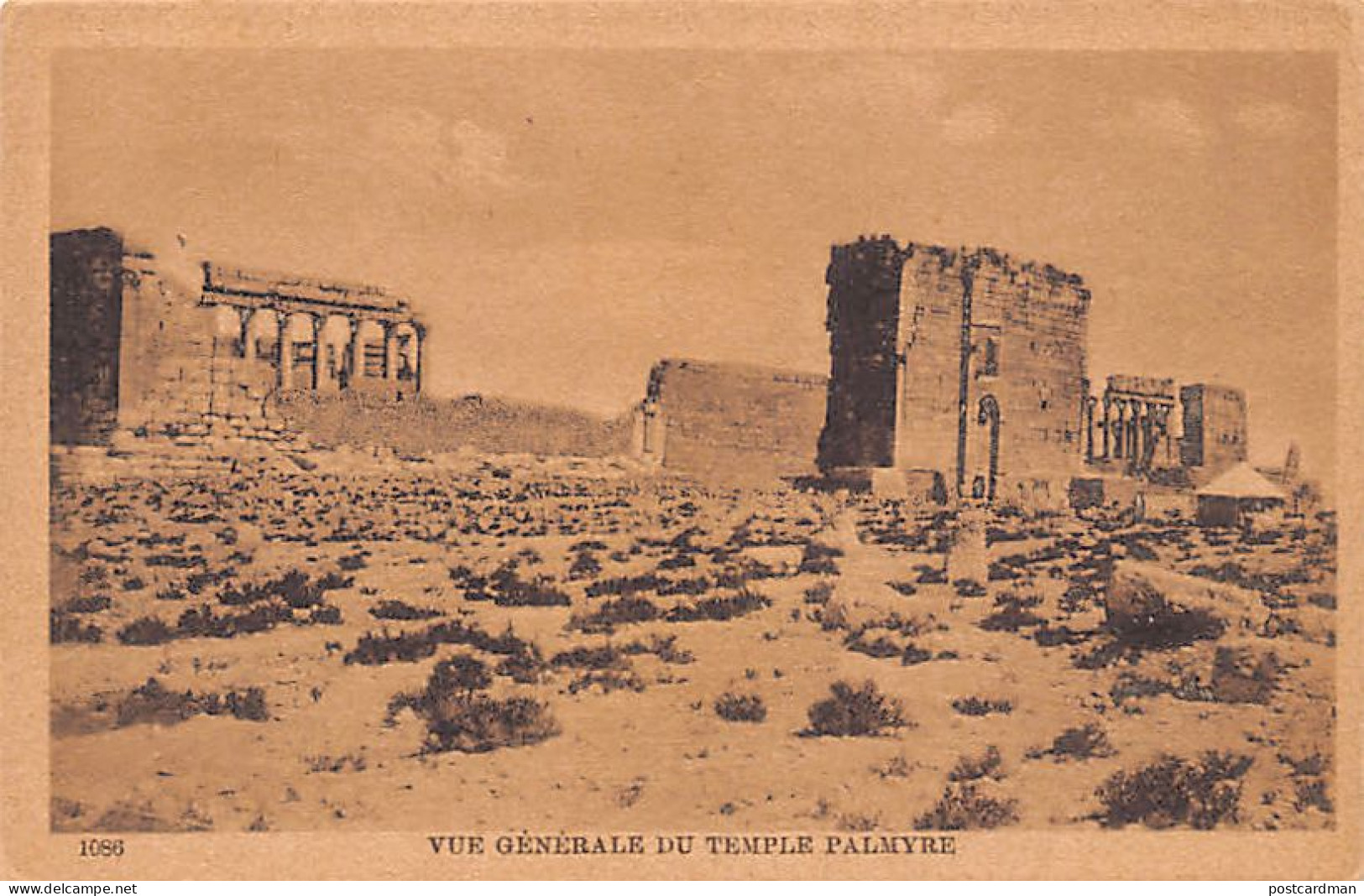 Syrie - PALMYRE - Vue Générale Du Temple - Ed. Sarrafian Bros. 1086 - Syria