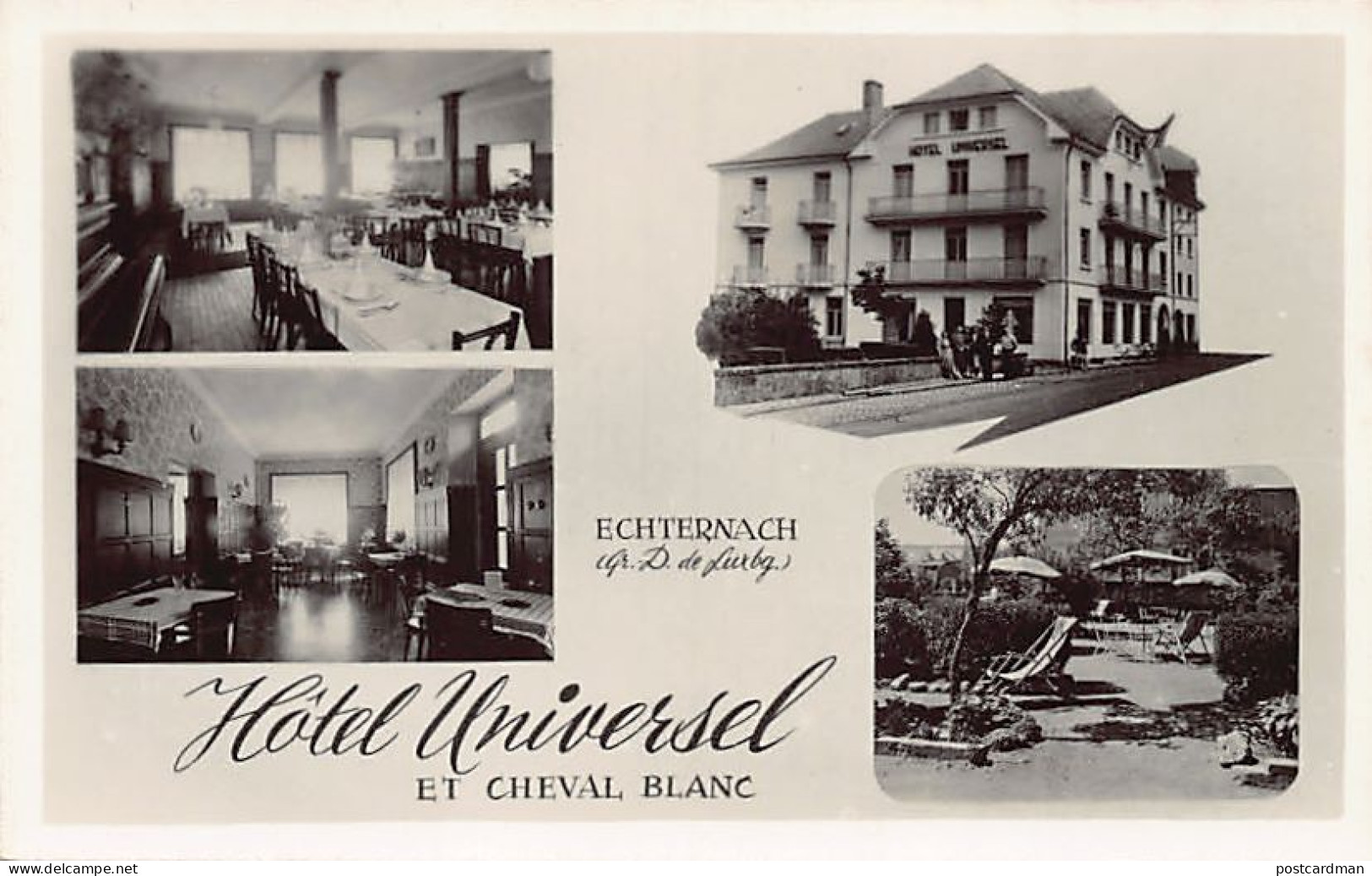 Luxembourg - ECHTERNACH - Hôtel Universel Et Cheval Blanc - Ed. Docuphot  - Echternach