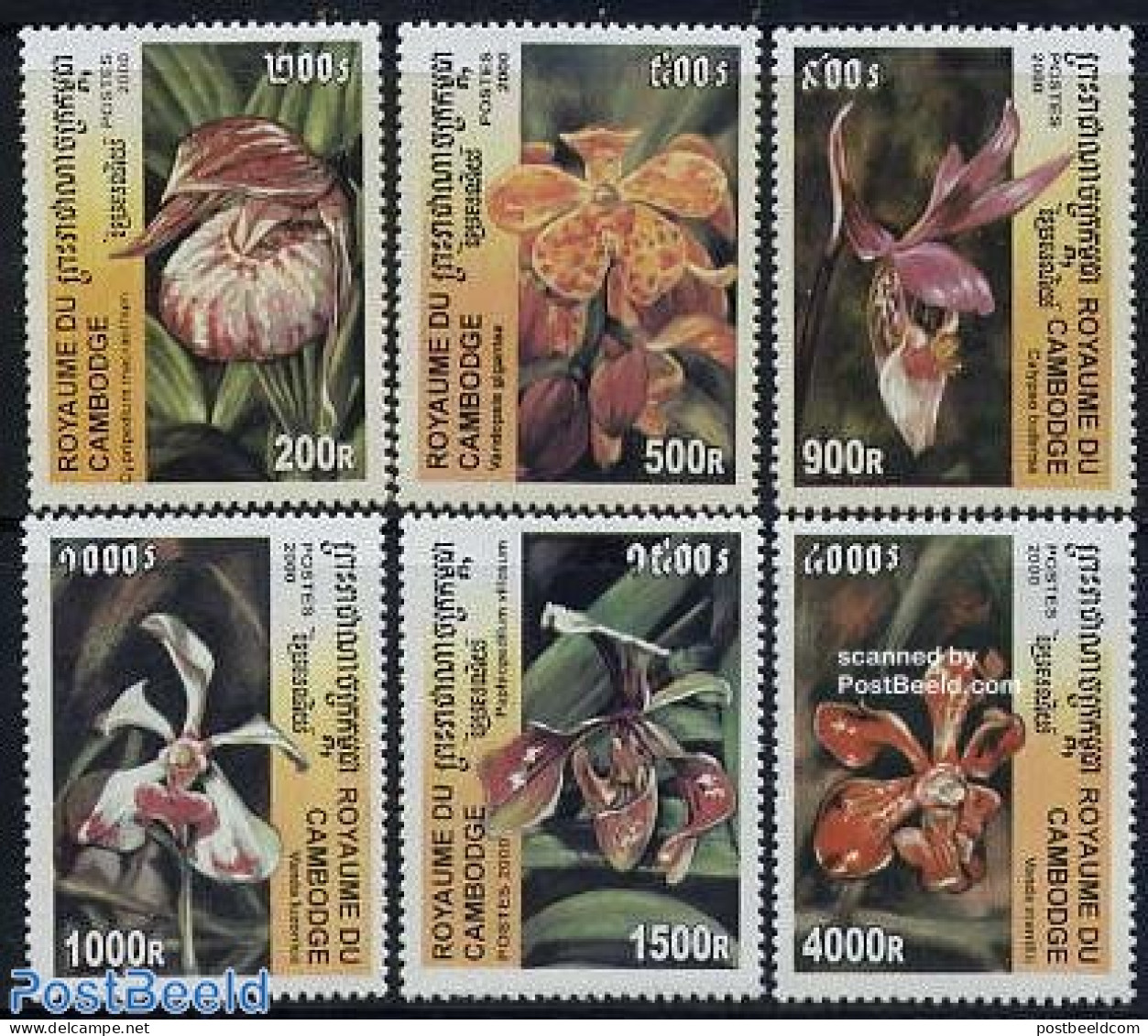 Cambodia 2000 Orchids 6v, Mint NH, Nature - Flowers & Plants - Orchids - Cambodia