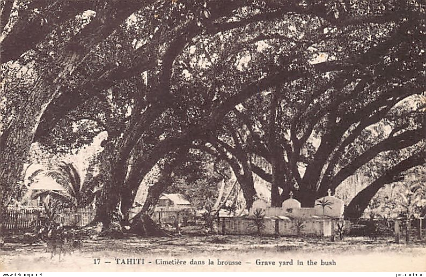 TAHITI - Cimetière Dans La Brousse - Ed. G. Sage 17 - Polynésie Française