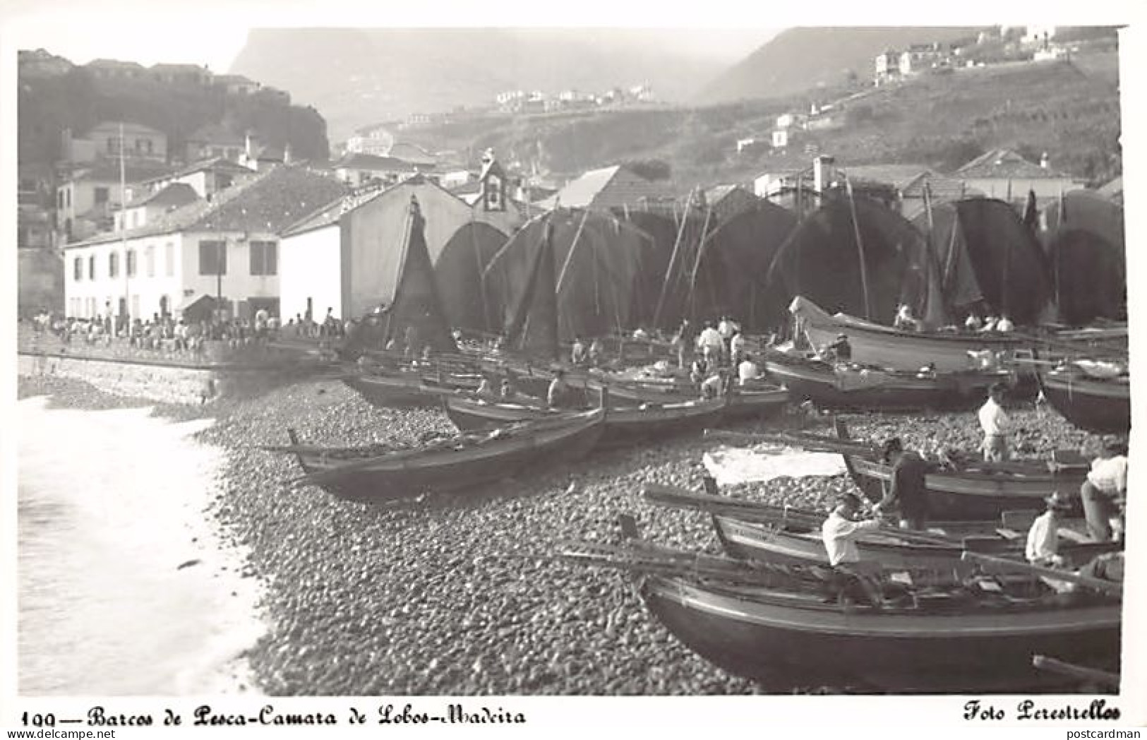 Madeira - CÂMARA DE LOBOS - Barcos De Pesca - Ed. Foto Perestrellos 199 - Madeira