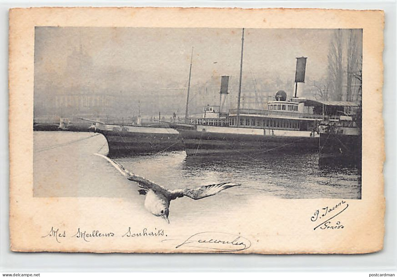 Suisse - Genève - Bateaux Amarrés Sur Le Lac - Mouette - Ed. P. Jacom  - Genève