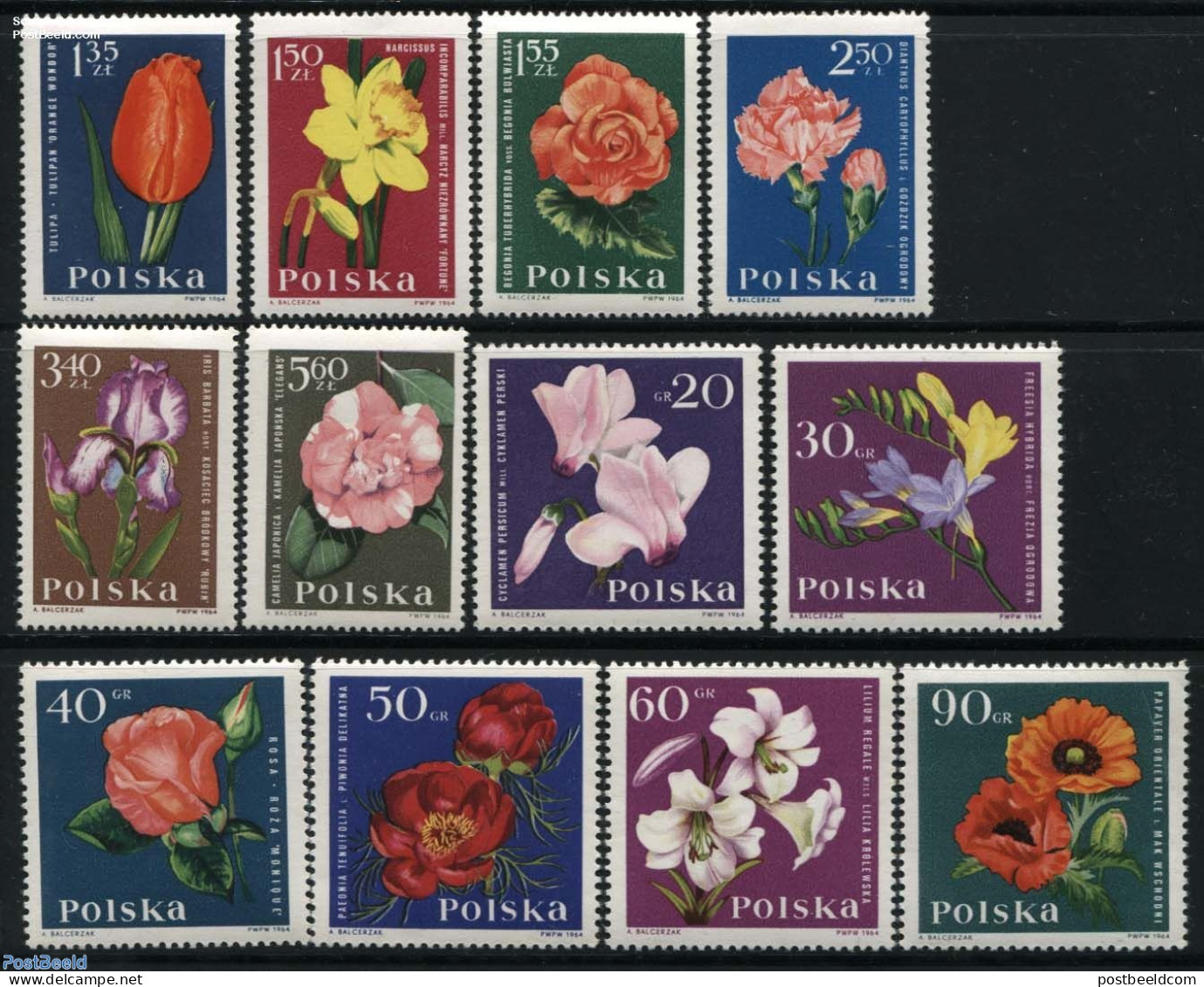 Poland 1964 Garden Flowers 12v, Mint NH, Nature - Flowers & Plants - Neufs