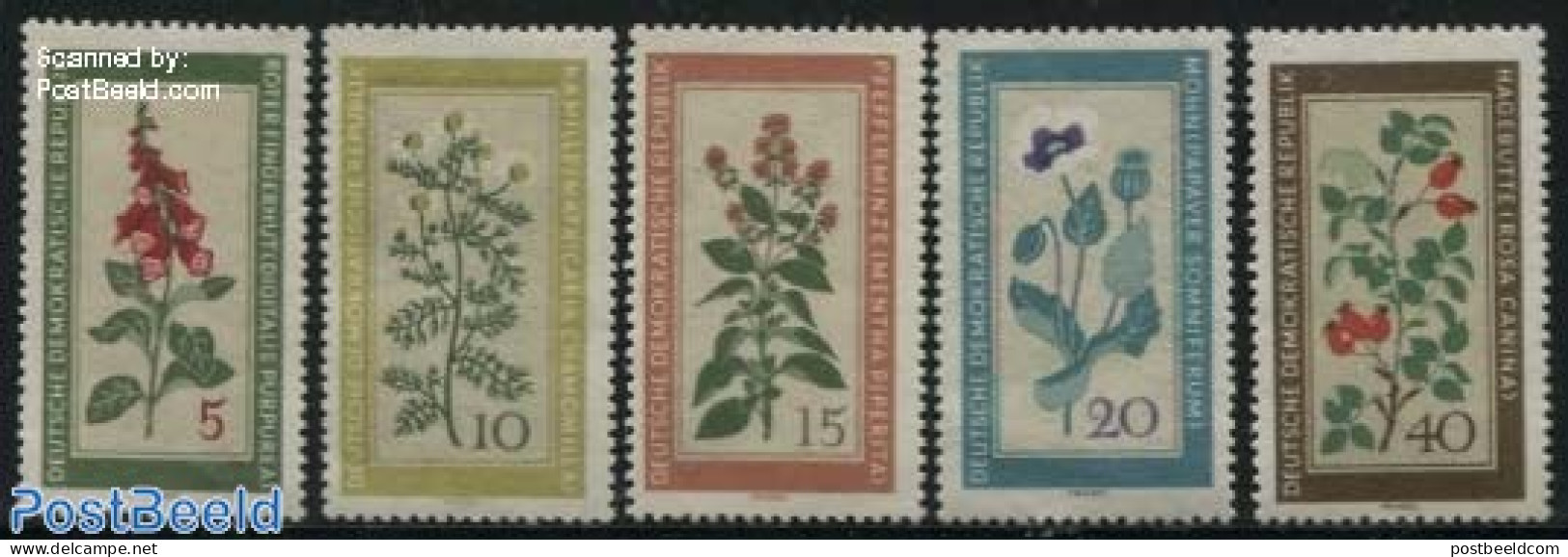 Germany, DDR 1960 Medical Plants 5v, Mint NH, Health - Nature - Health - Flowers & Plants - Roses - Ungebraucht