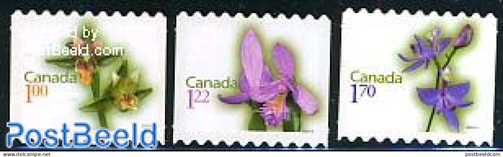 Canada 2010 Orchids 3v (with Year 2010) S-a, Mint NH, Nature - Flowers & Plants - Orchids - Neufs