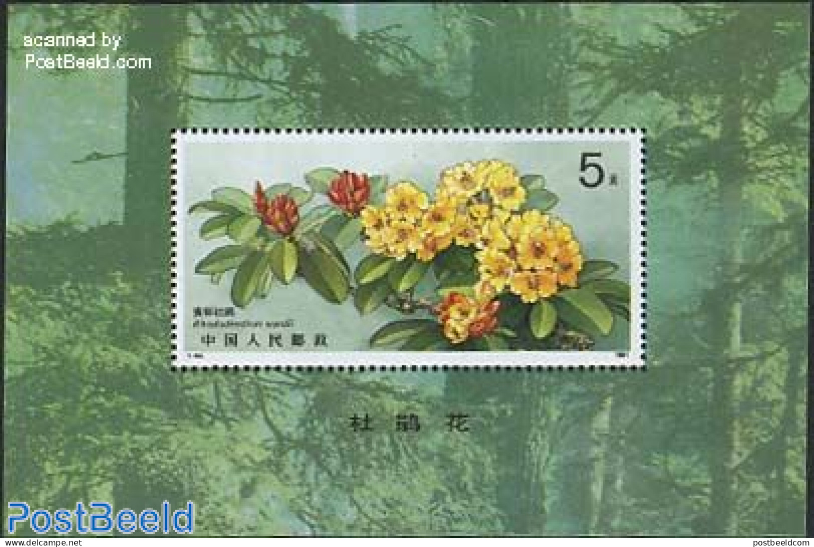 China People’s Republic 1991 Flowers S/s, Mint NH, Nature - Flowers & Plants - Unused Stamps