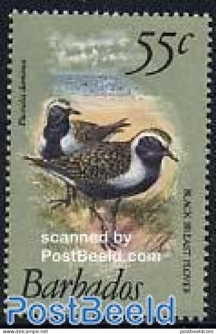 Barbados 1981 Birds 1v, Mint NH, Nature - Birds - Barbados (1966-...)