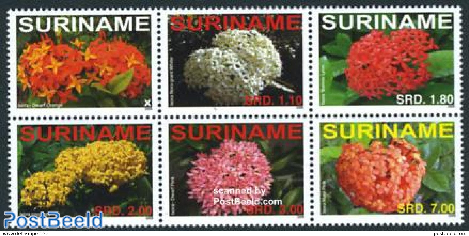 Suriname, Republic 2008 Flowers 6v [++], Mint NH, Nature - Flowers & Plants - Surinam