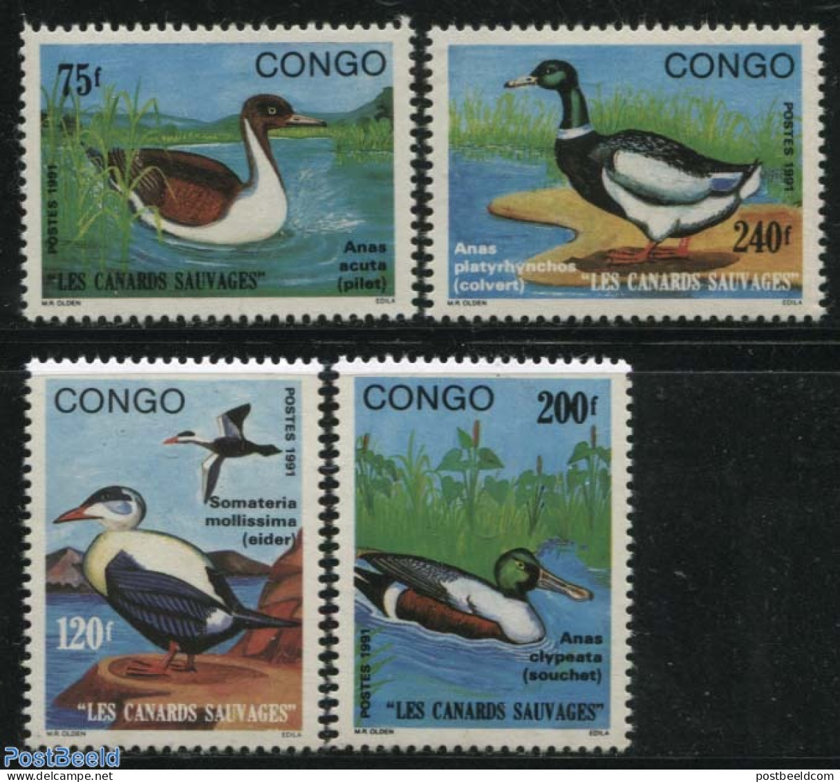 Congo Republic 1991 Ducks 4v, Mint NH, Nature - Birds - Ducks - Sonstige & Ohne Zuordnung