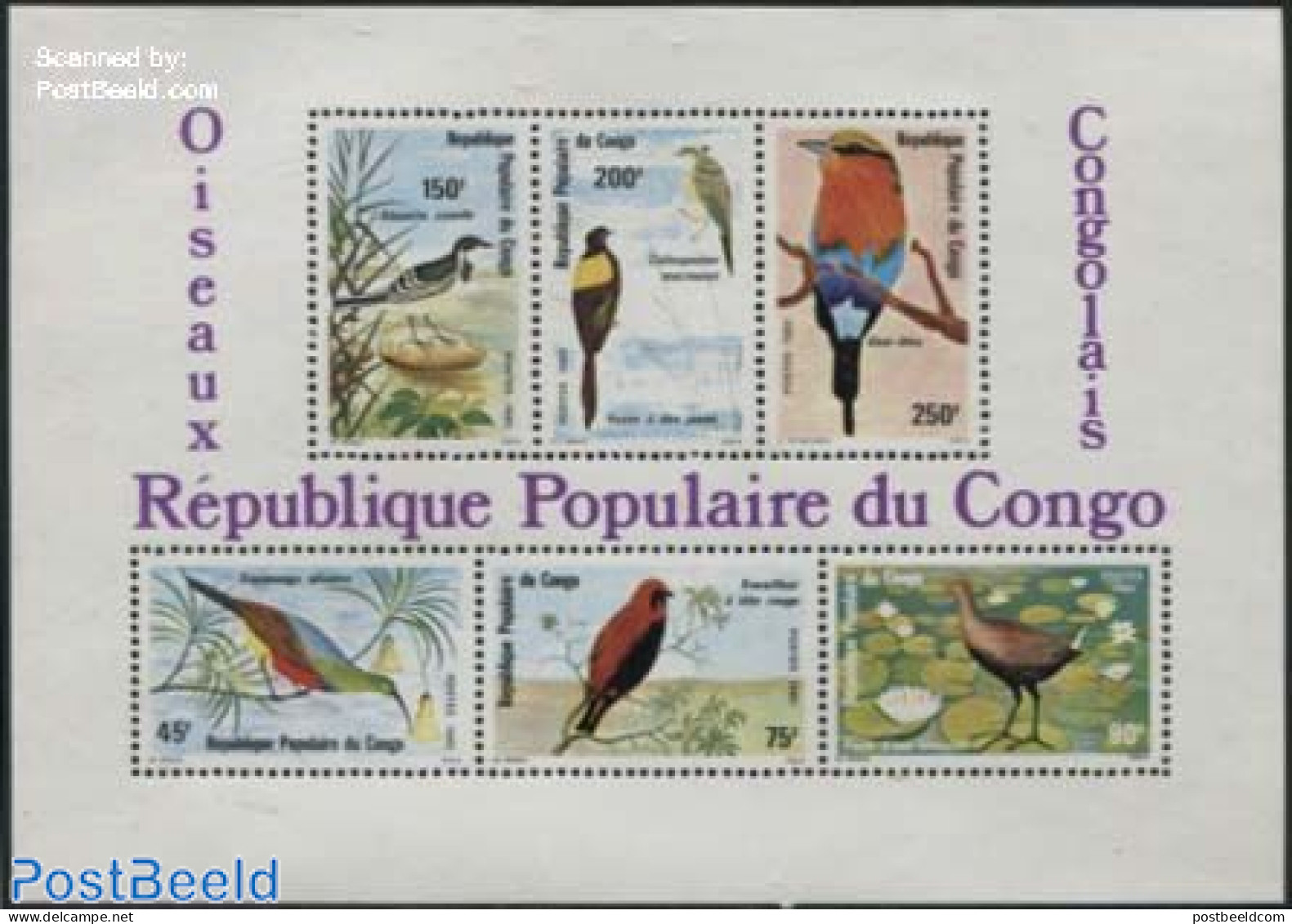 Congo Republic 1980 Birds S/s, Mint NH, Nature - Birds - Sonstige & Ohne Zuordnung