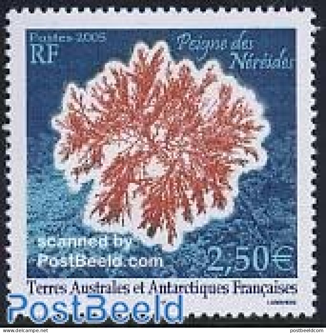 French Antarctic Territory 2005 Corals, Peigne Des Nereides 1v, Mint NH, Nature - Neufs