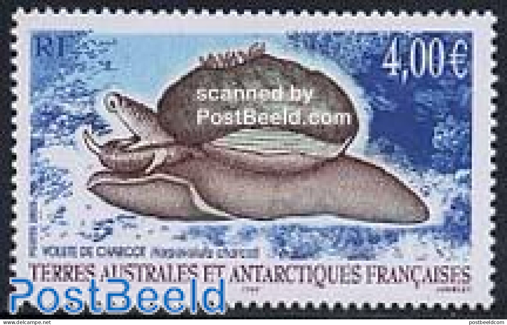 French Antarctic Territory 2005 Sledge, Volute De Charcot, Mint NH, Nature - Animals (others & Mixed) - Neufs