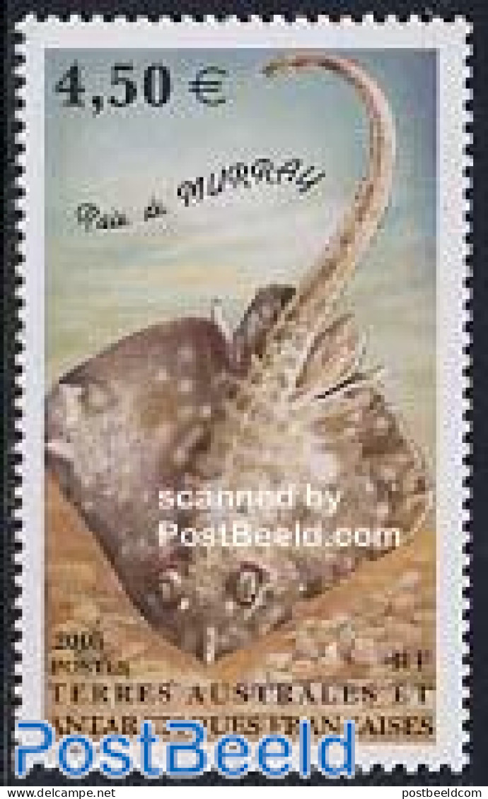 French Antarctic Territory 2005 Murray Ray 1v, Mint NH, Nature - Fish - Unused Stamps