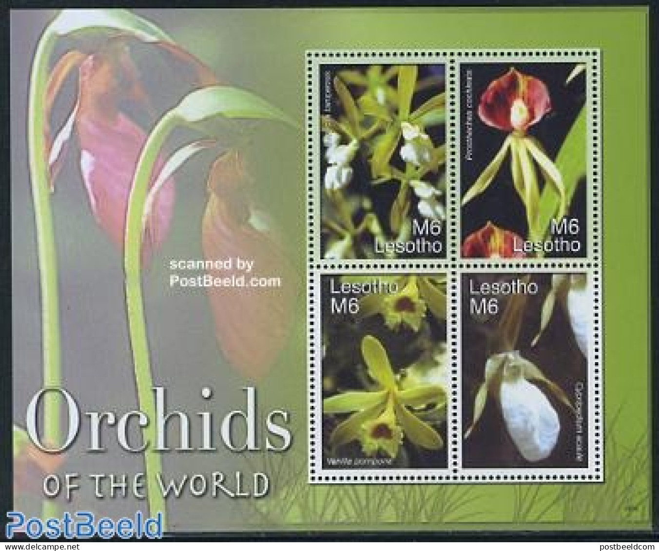Lesotho 2007 Orchids Of The World 4v M/s, Mint NH, Nature - Flowers & Plants - Orchids - Lesotho (1966-...)