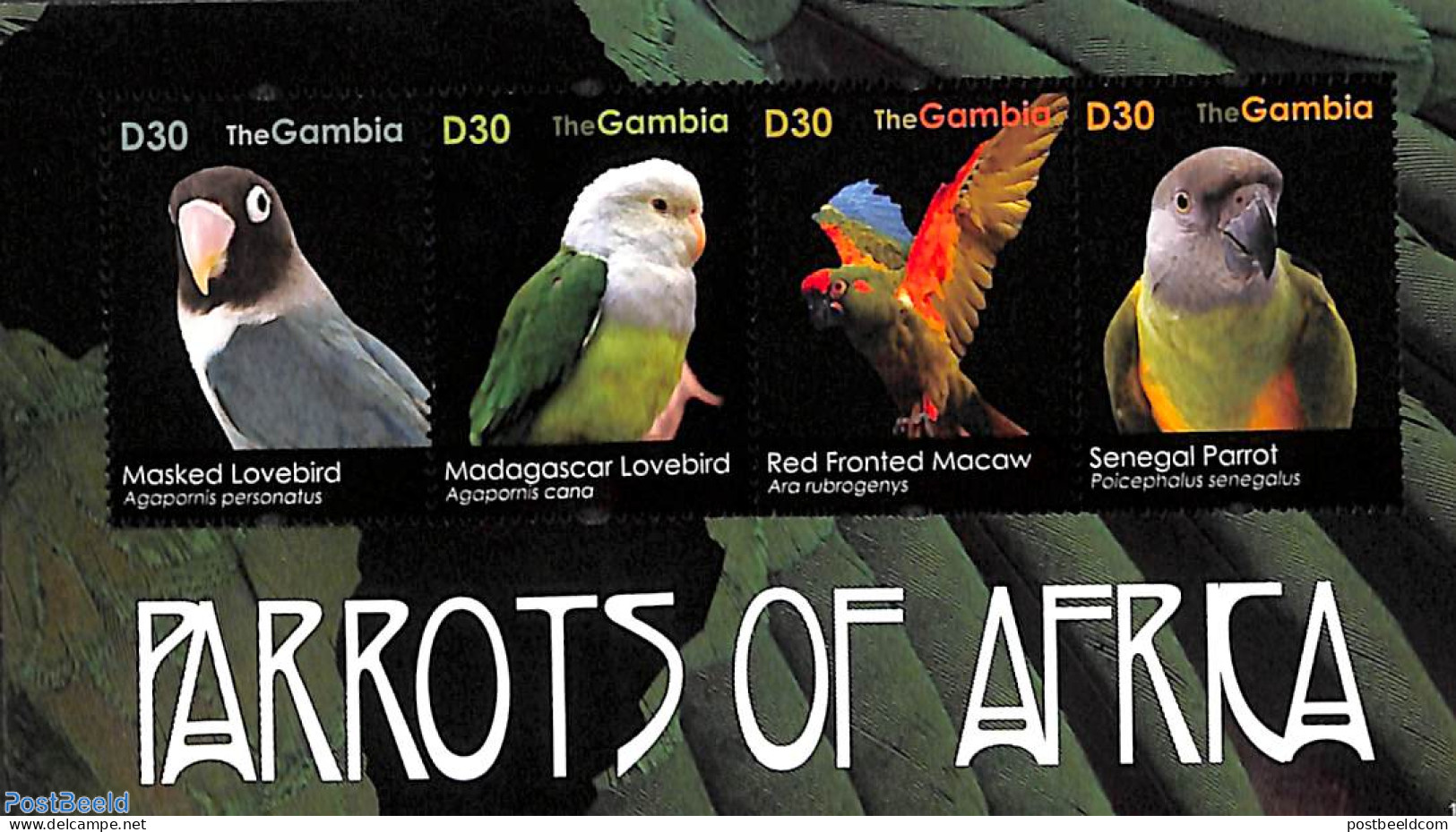 Gambia 2011 Parrots Of Africa 4v M/s, Mint NH, Nature - Various - Birds - Parrots - Round-shaped Stamps - Gambie (...-1964)