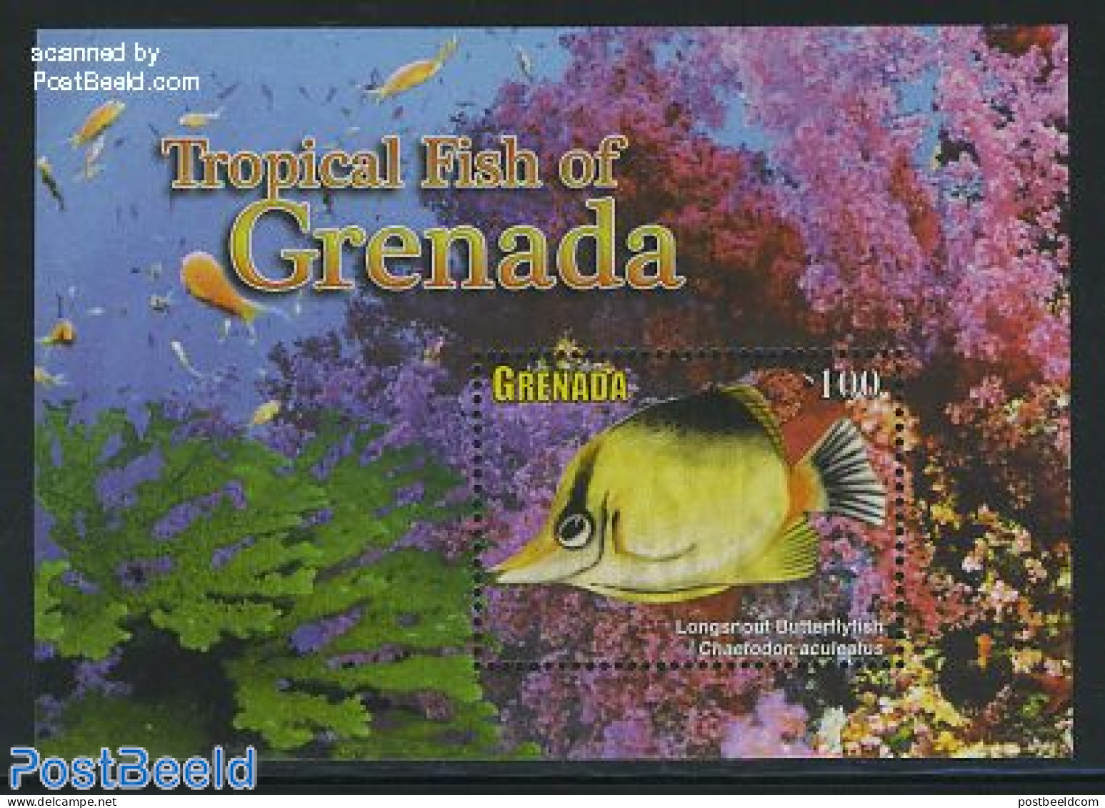 Grenada 2011 Definitive, Fish S/s ($100), Mint NH, Nature - Fish - Fishes