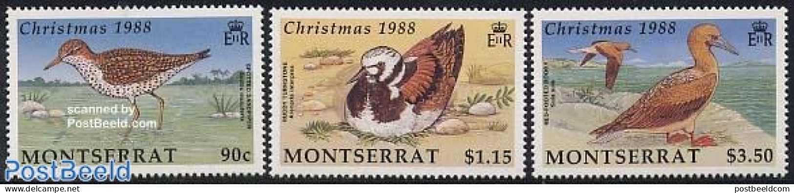 Montserrat 1988 Christmas, Birds 3v, Mint NH, Nature - Religion - Birds - Christmas - Noël
