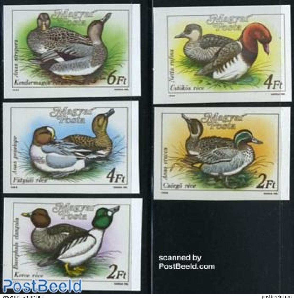 Hungary 1988 Ducks 5v Imperforated, Mint NH, Nature - Birds - Ducks - Unused Stamps