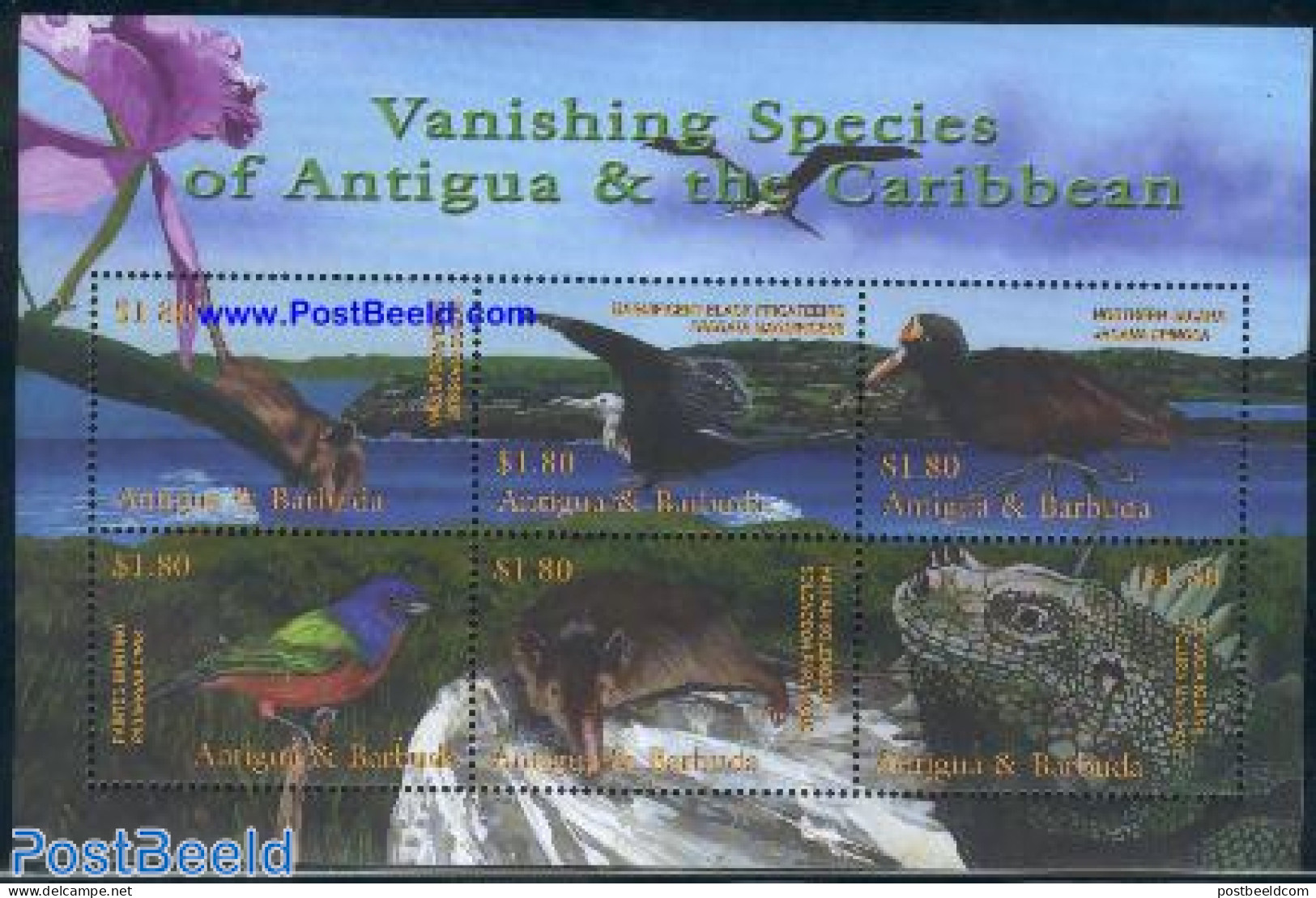 Antigua & Barbuda 2001 Endangered Species 6v M/s, Mint NH, Nature - Animals (others & Mixed) - Birds - Reptiles - Antigua Et Barbuda (1981-...)