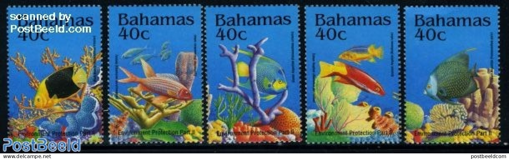 Bahamas 1994 Fish 5v, Mint NH, Nature - Fish - Fishes
