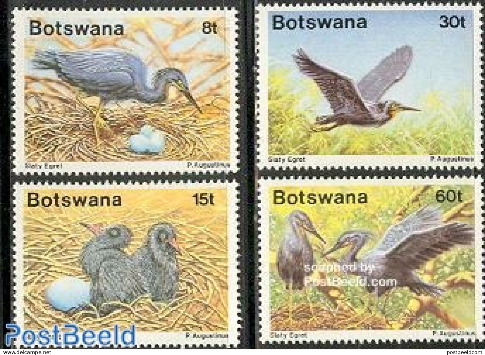 Botswana 1989 Birds 4v, Mint NH, Nature - Birds - Botswana (1966-...)