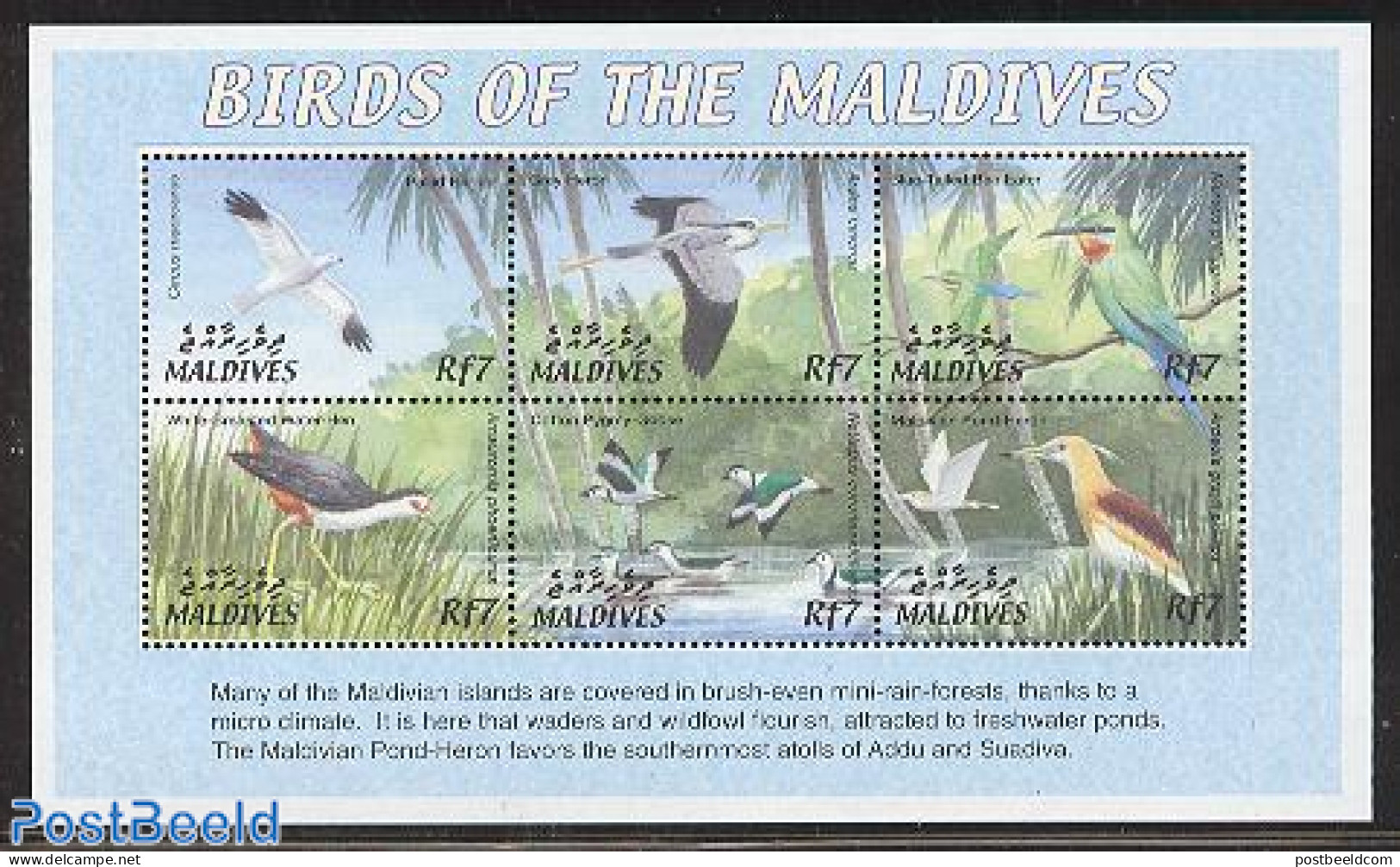 Maldives 2002 Birds 6v M/s, Circus Macrourus, Mint NH, Nature - Birds - Maldive (1965-...)