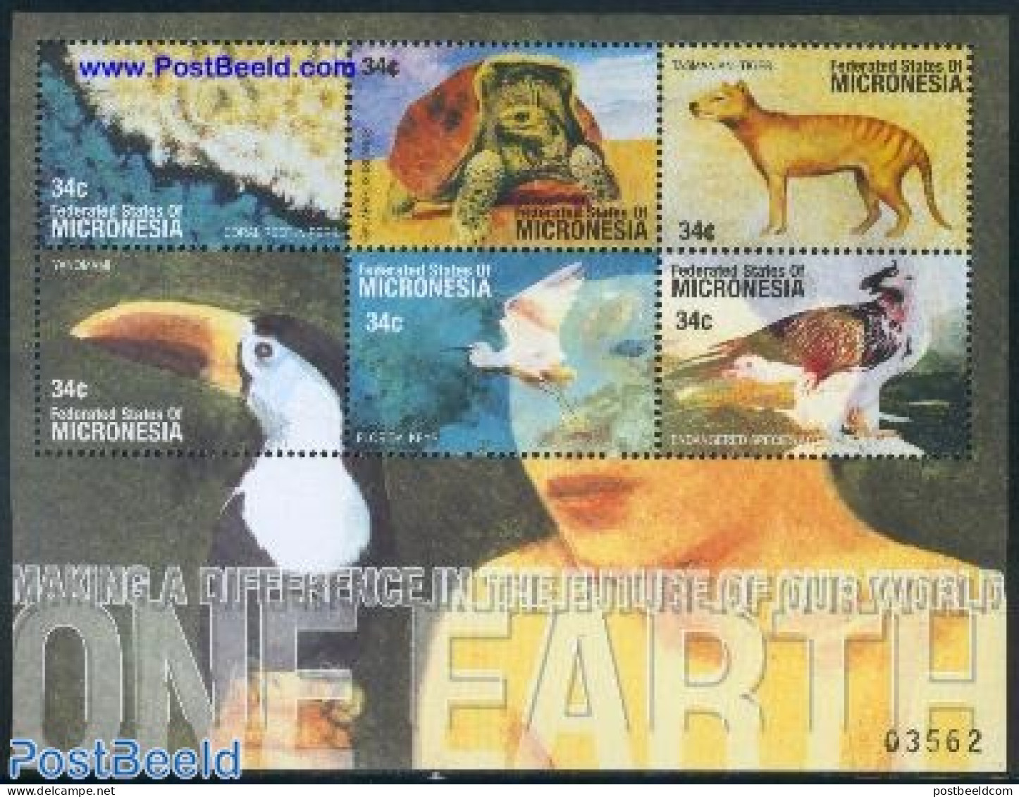 Micronesia 2001 One Earth 6v M/s, Mint NH, Nature - Animals (others & Mixed) - Birds - Birds Of Prey - Turtles - Micronesië