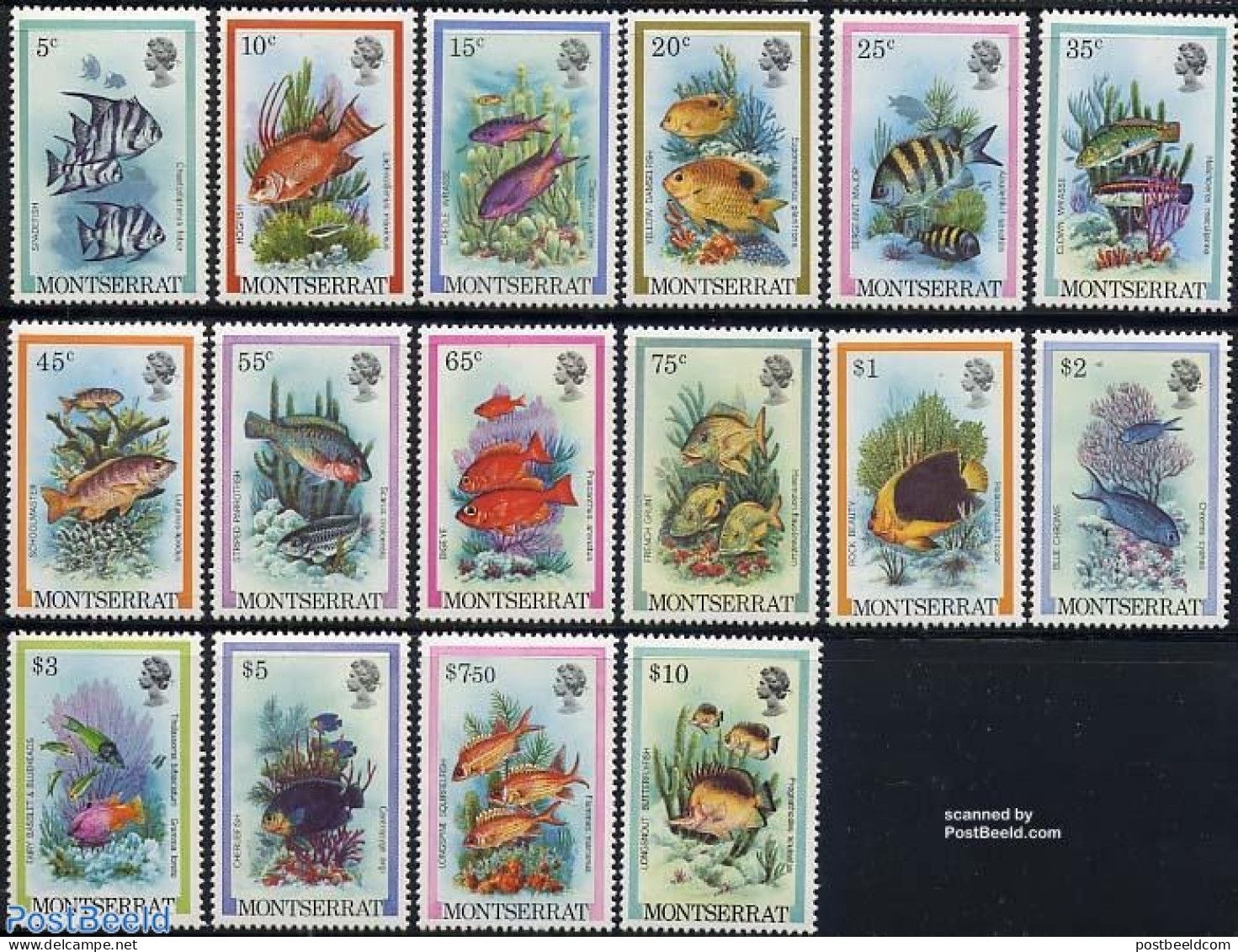 Montserrat 1981 Definitives, Fish 16v (without Year), Mint NH, Nature - Fish - Fische