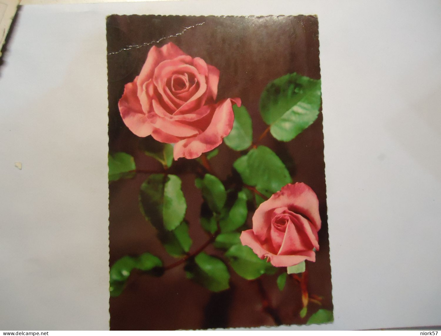 GERMANY   POSTCARDS  FLOWERS ROSES - Other & Unclassified