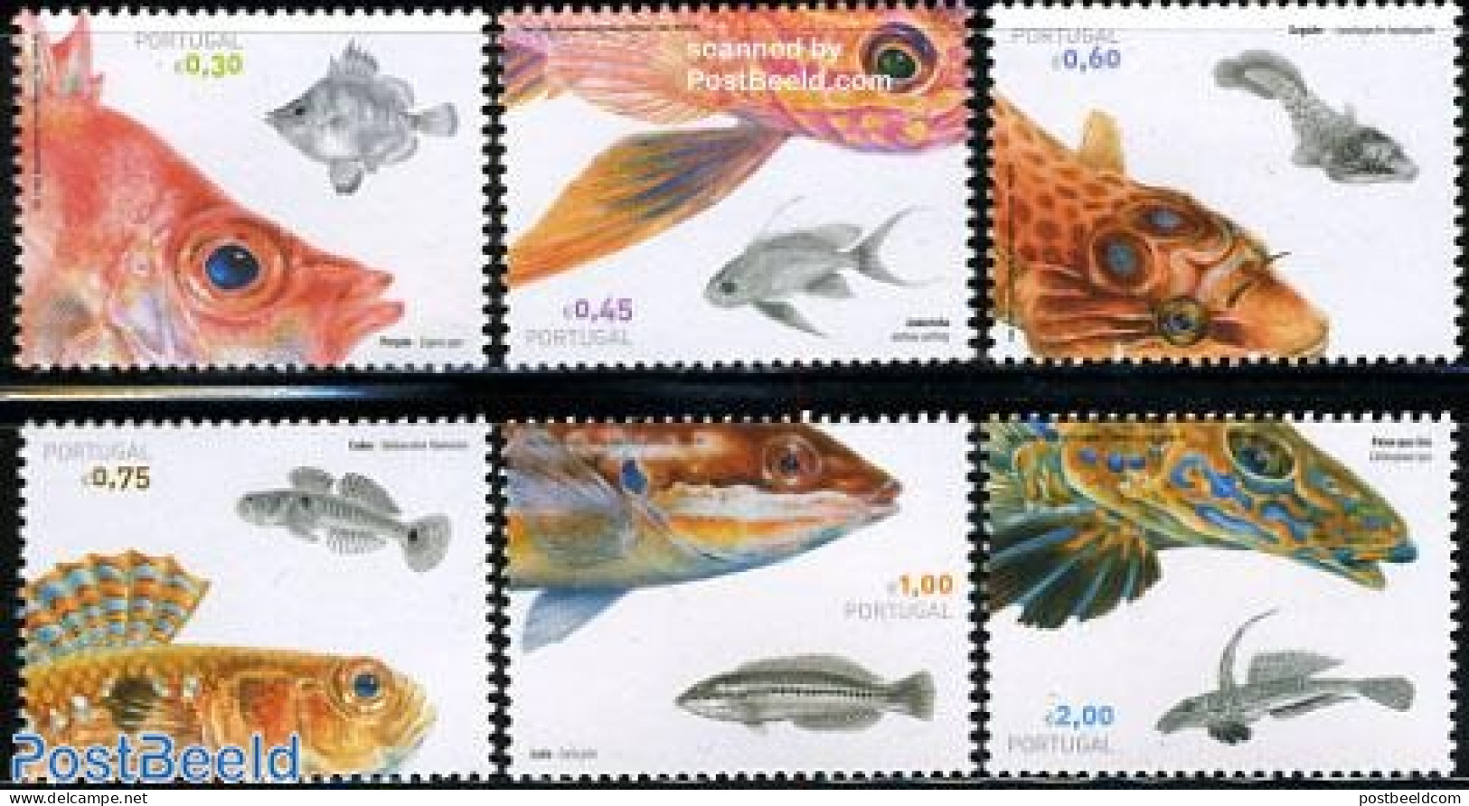 Portugal 2006 Fish From Portuguese Coast 6v, Mint NH, Nature - Animals (others & Mixed) - Fish - Unused Stamps