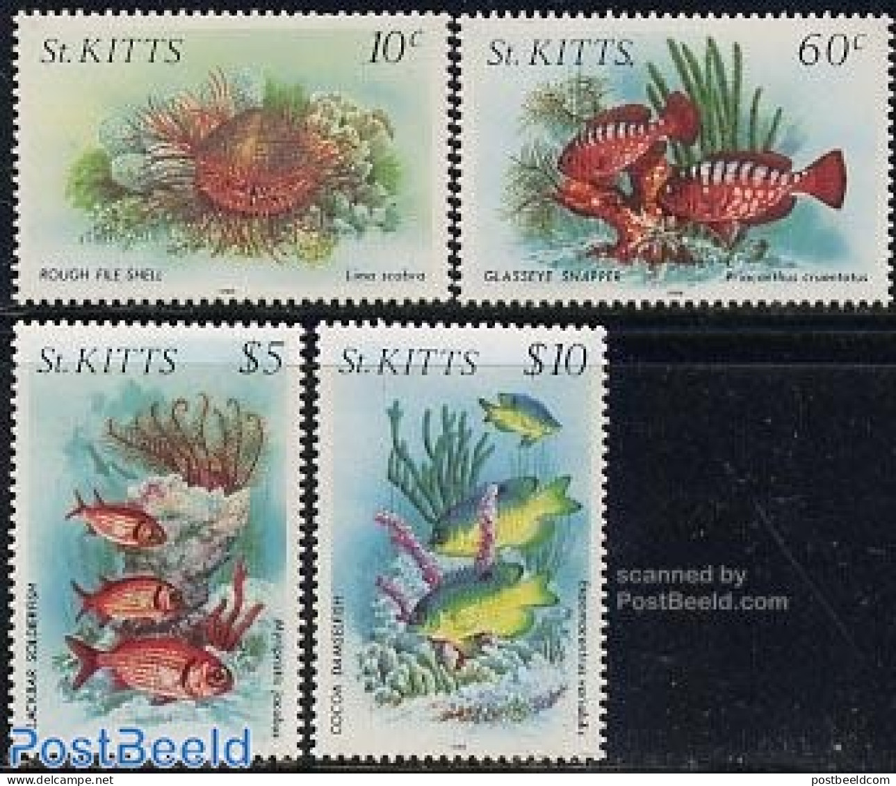 Saint Kitts/Nevis 1988 Marine Life 4v (with Year 1988), Mint NH, Nature - Fish - Fishes