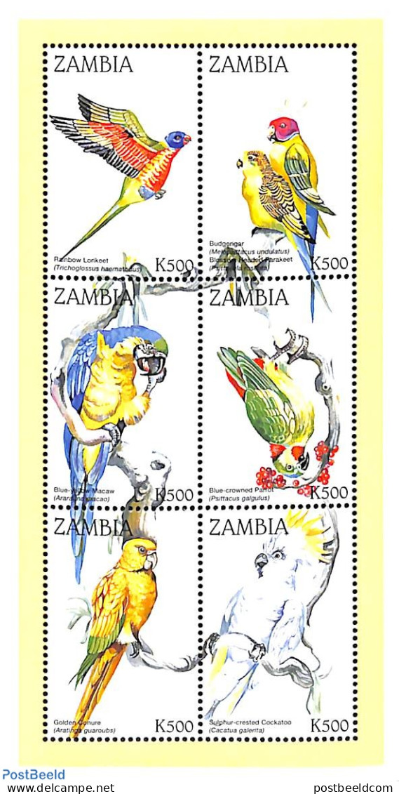 Zambia 1998 Parrots 6v M/s, Mint NH, Nature - Birds - Parrots - Zambie (1965-...)