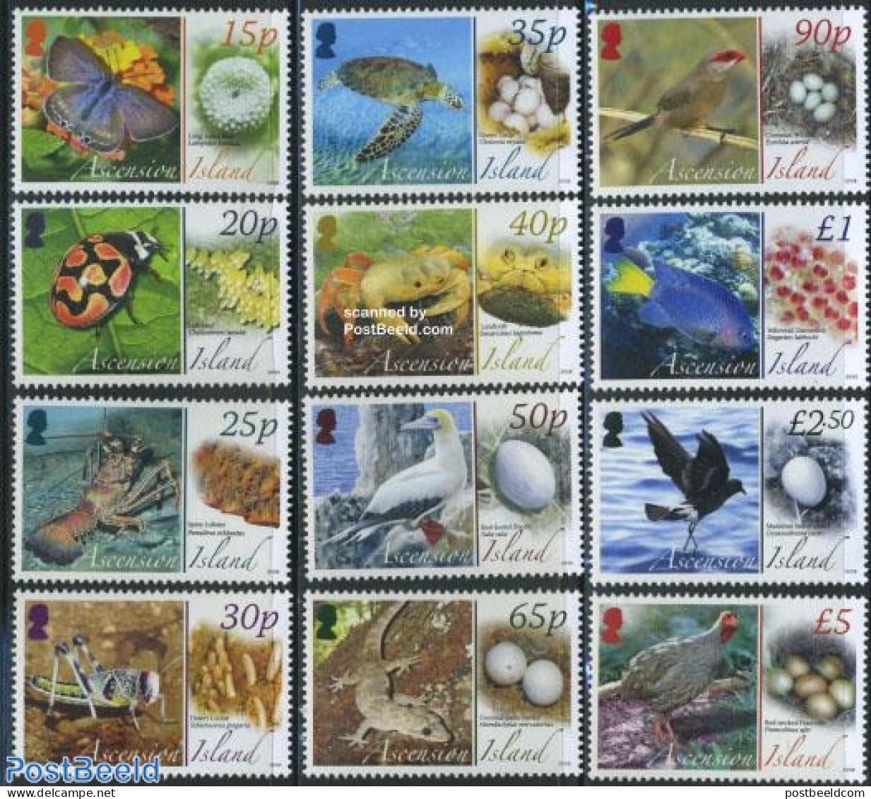 Ascension 2008 Definitives, Animals & Eggs 12v, Mint NH, Nature - Birds - Butterflies - Fish - Insects - Reptiles - Sh.. - Vissen