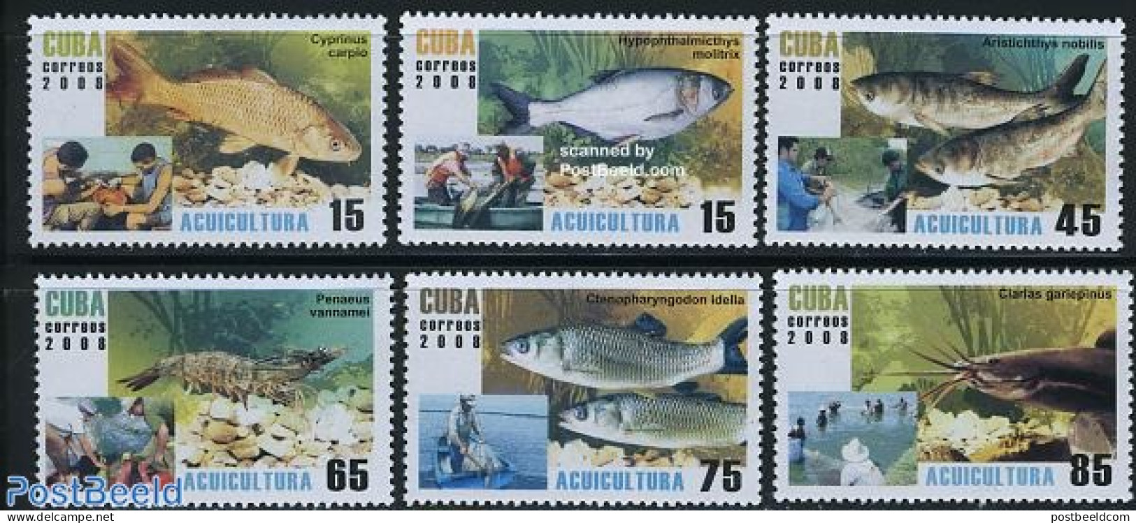 Cuba 2008 Water Culture, Fish 6v, Mint NH, Nature - Transport - Fish - Fishing - Ships And Boats - Neufs