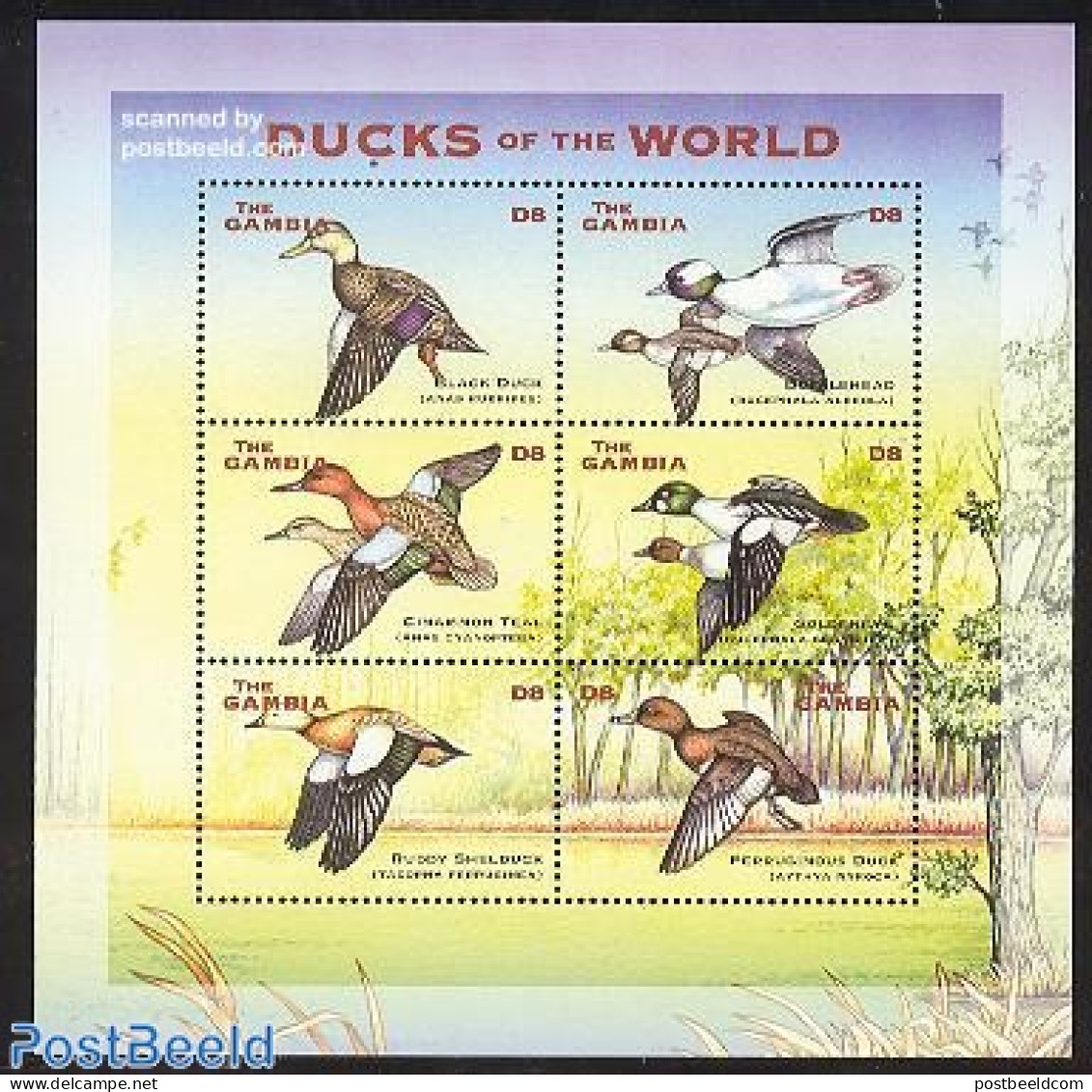 Gambia 2001 Ducks 6v M/s, Mint NH, Nature - Birds - Ducks - Gambia (...-1964)